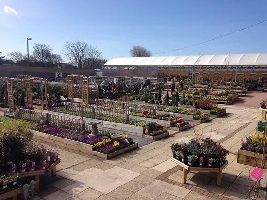 The Plant Place