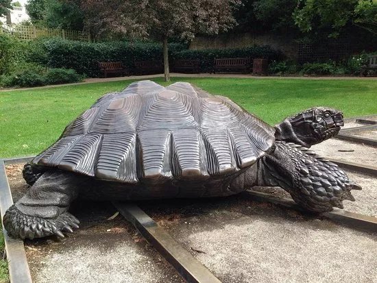 Tortoises With Triangle and Time
