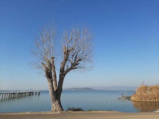 Cooperativa Pescatori del Trasimeno
