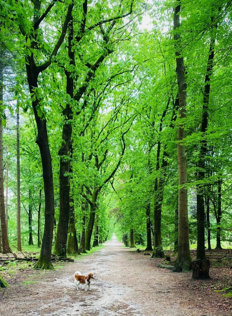 Wandelroute Natte Neuzen