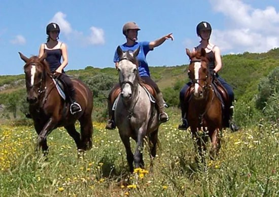 Tiffany's Riding Centre