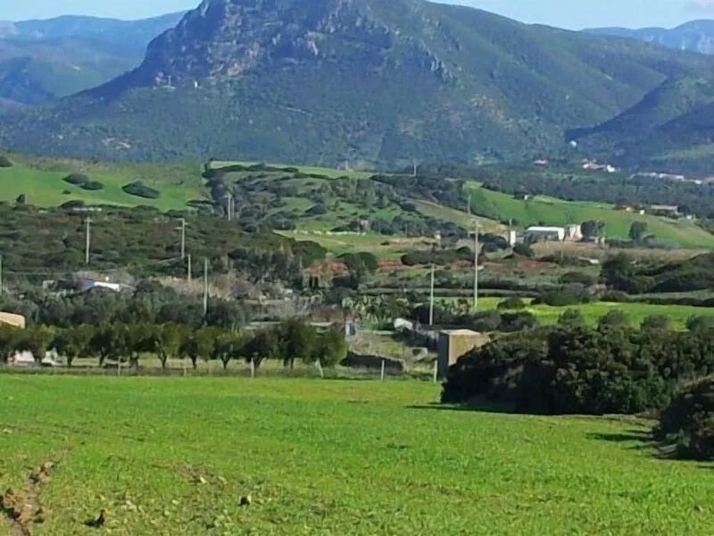 Holiday feeling in a quiet area apartment on olive grove with Wi-Fi!