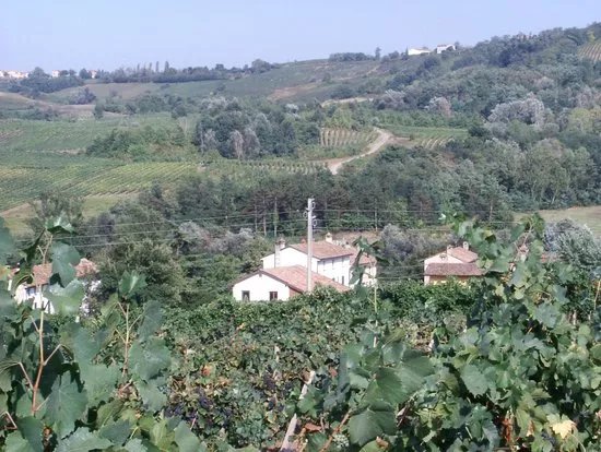 Azienda Agricola Manuelina