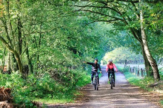 Mountainbiken Op De Veluwe