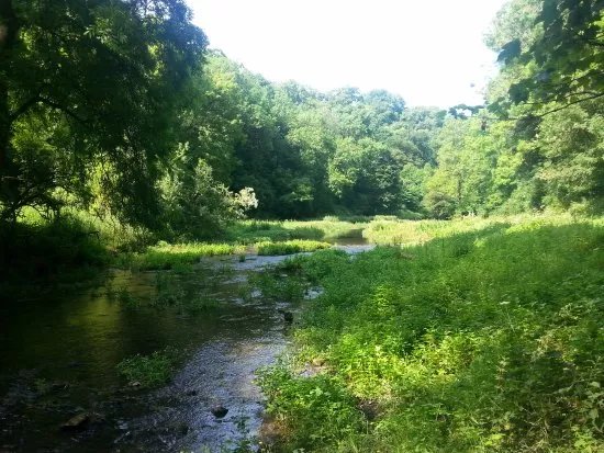 Limestone Way / Bradford River Walk