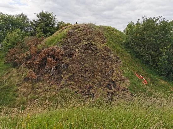 Harryville Motte and Bailey
