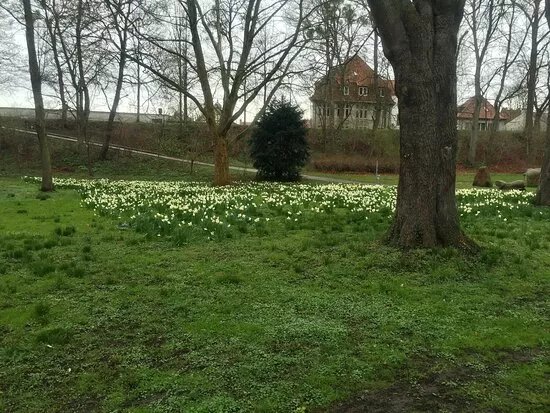 Cheltenham-Park