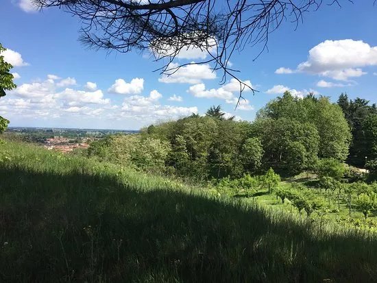 Parco della Collina di San Colombano