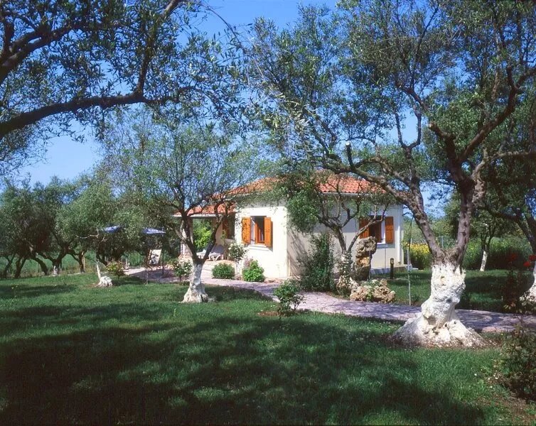 Idyllic gem, surrounded by olive groves, close to the sea.