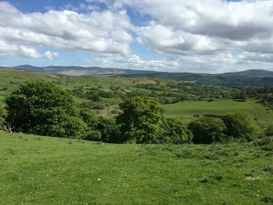 Caerau Gardens
