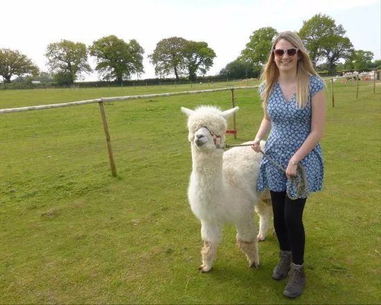 Lucky Tails Alpaca Farm