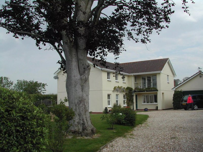 Elmwood House