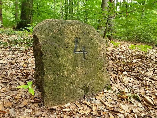 Sauener Wald