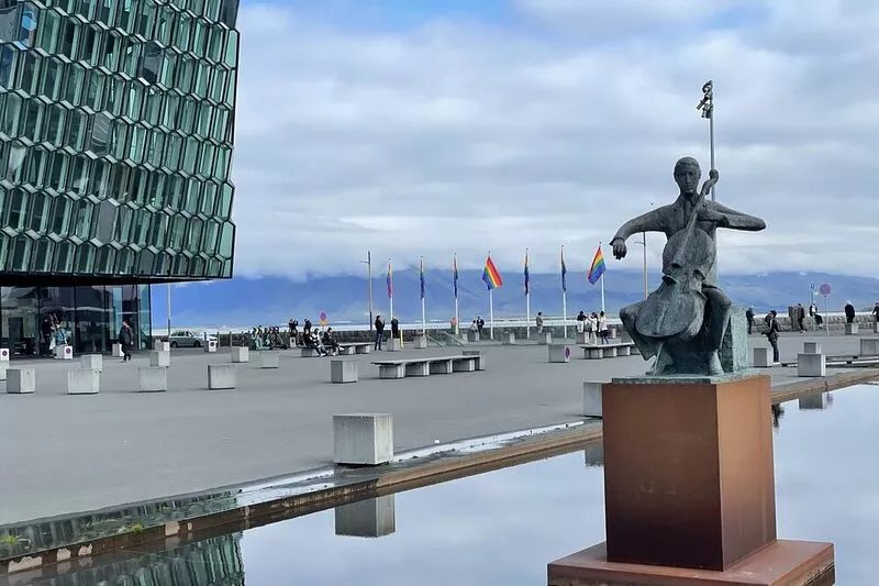 Reykjavik City Centre - A Luxurious Home