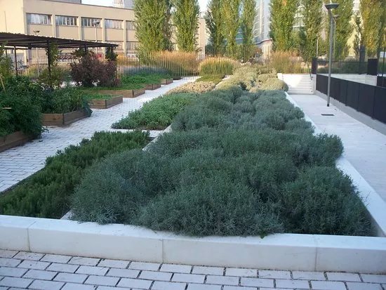 Giardino Di Via De Castillia