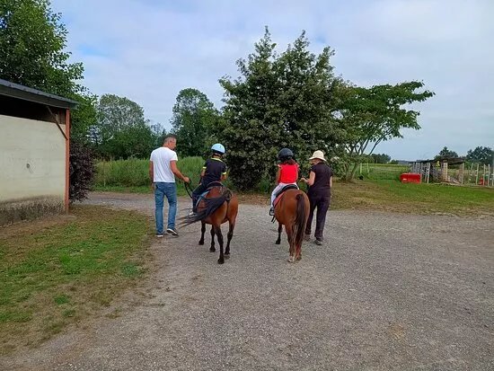 Le Domaine Des Pinchinats