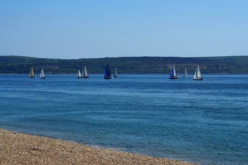New Forest house with large garden, near sea. Perfect for families with children
