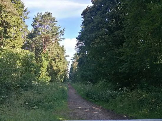 Thurlbear Wood And Quarrylands