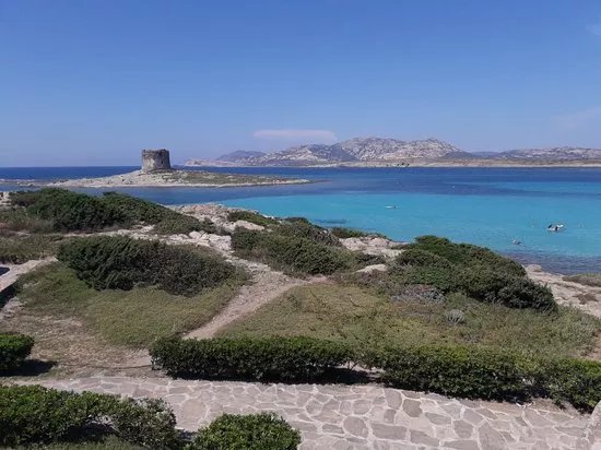 Spiaggia della Pelosetta
