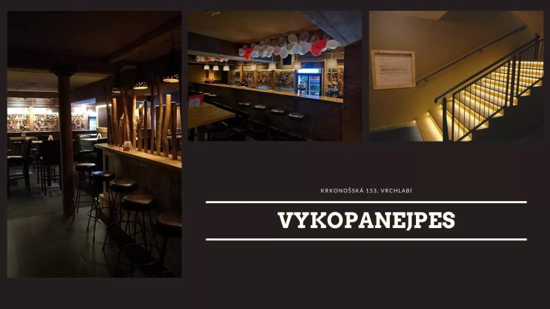 Music Bar Vykopanej Pes