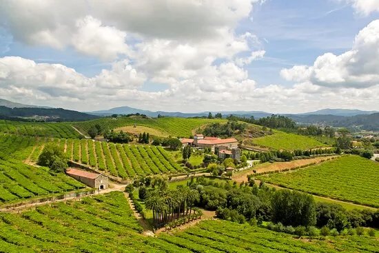 Bodega Pazo Baion