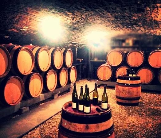 Domaine Christophe Vaudoisey, Vigneron