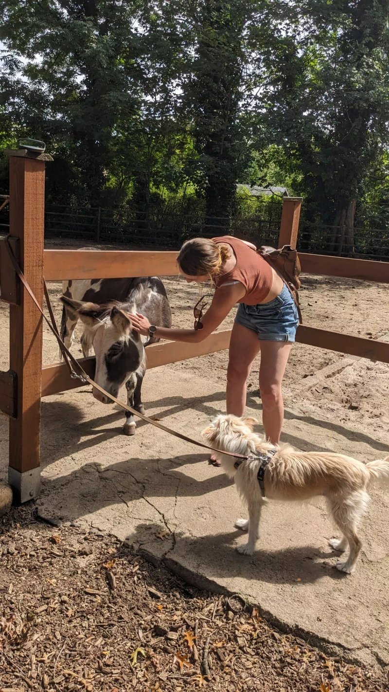 Tierpark Luckenwalde