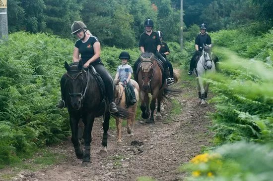 Cannock Chase Trekking Centre