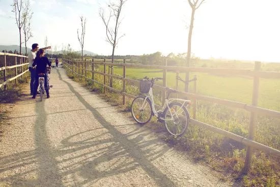 Bicis Verdes