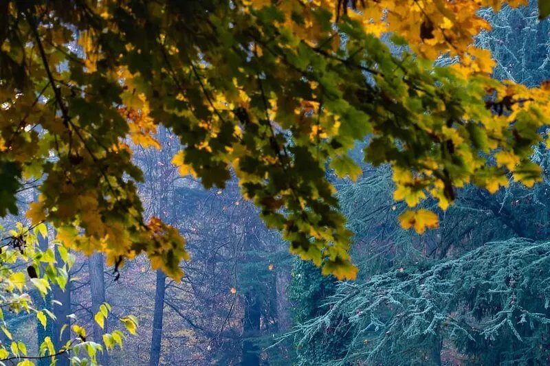 Luminous open space next to F1 Circuit, Monza Park, Milan and Como lake.