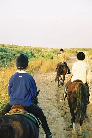 Park Lane Riding School