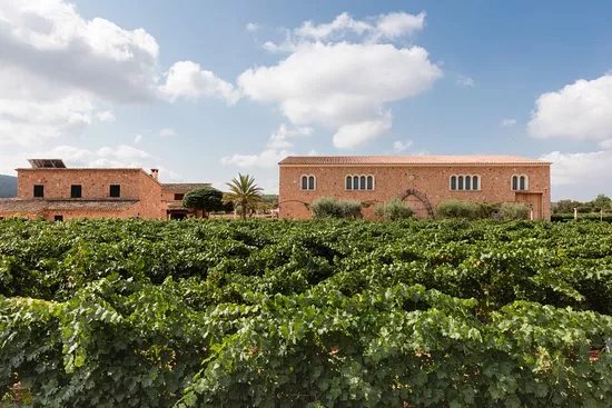 Bodegas Angel