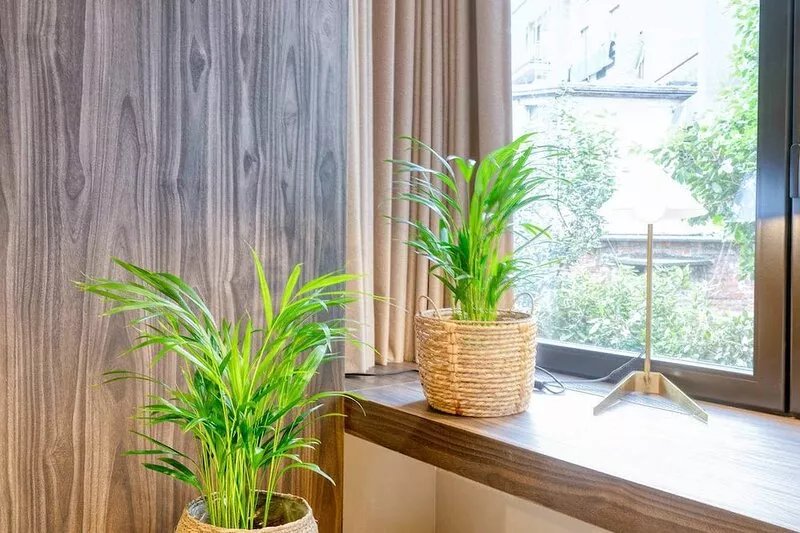Wonderful renovated room in Historic Ghent home