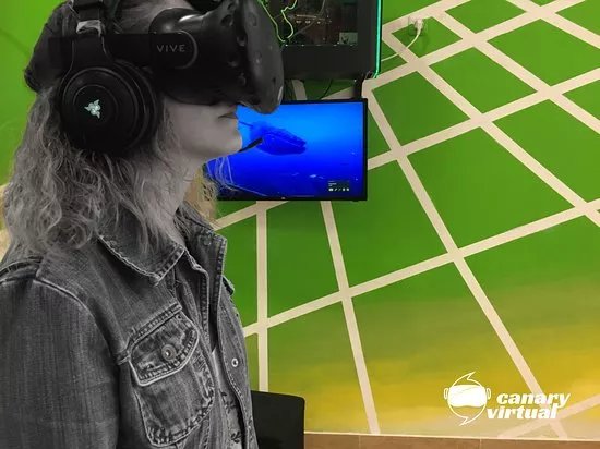 Canary Virtual Place