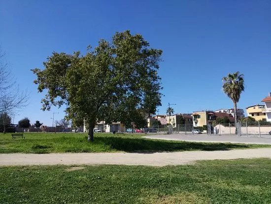 Parco Urbano Camaldoli Sud
