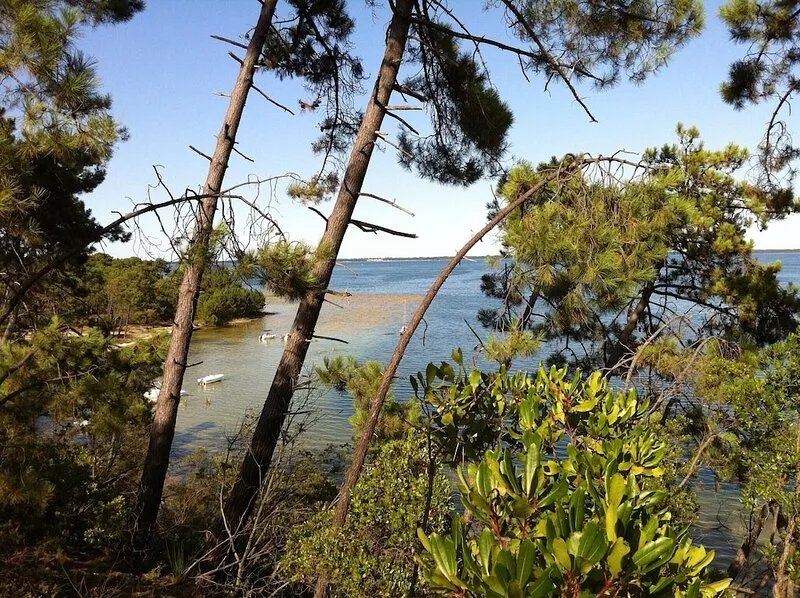 At the lake of Hourtin, New villa with garden for 8 people