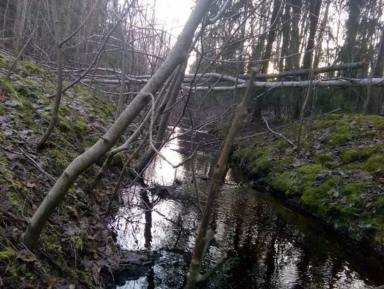 Harku Forest Nature Trail