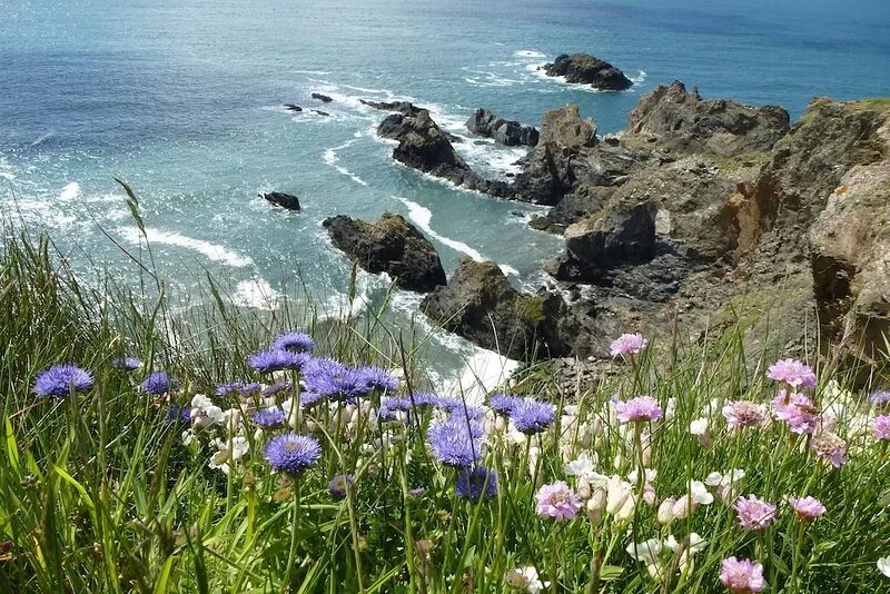Spacious, cosy home on the Pembs coastal path, close to St. Davids and beaches