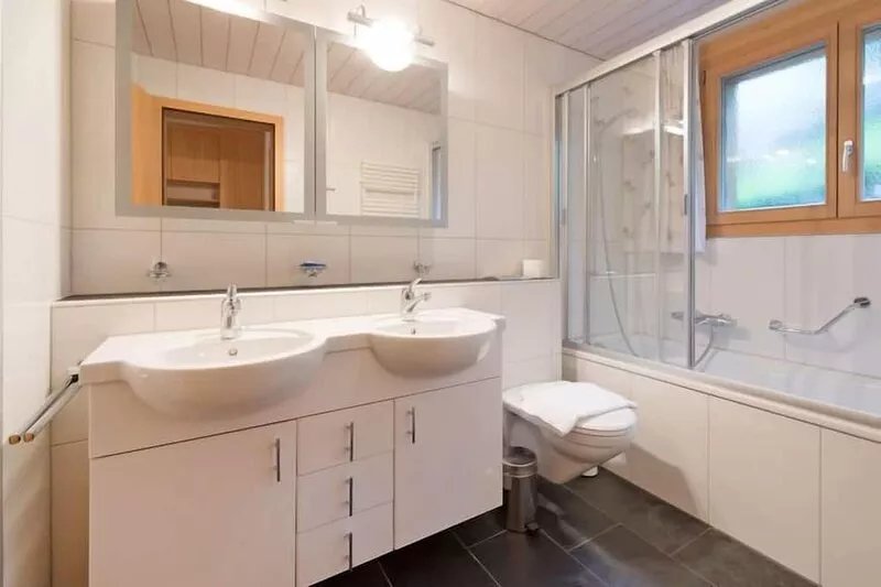 Silberhorn Apt. DW by Interhome