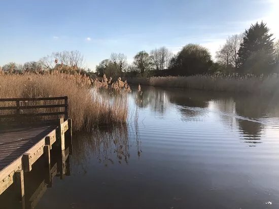 Avon Meadows Community Wetland