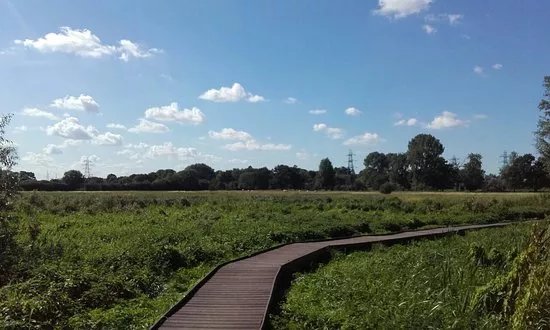 Bowthorpe Marsh