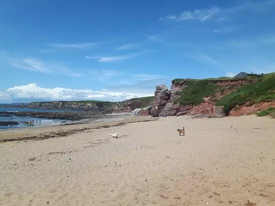 South Milton Sands