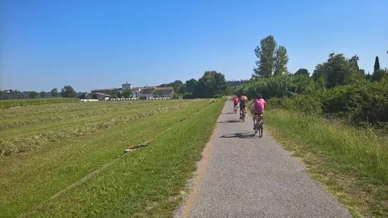 Pedalando Vai - Bike Rentals