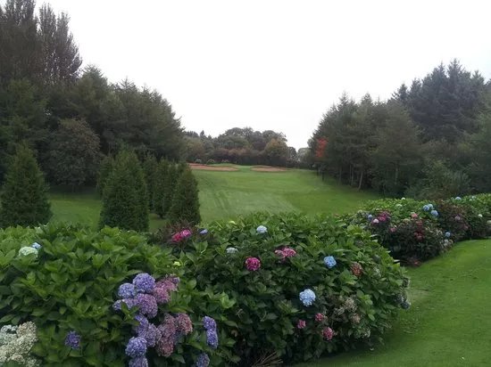 Lisburn Golf Club