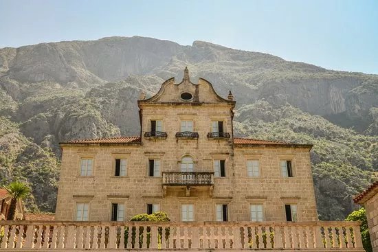 Tripkovic Palace