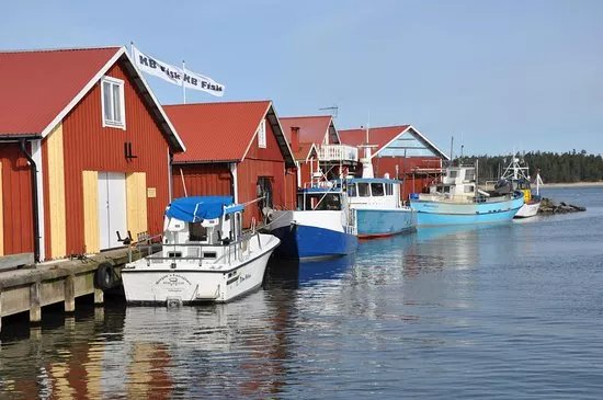 Spikens Vilda Violer AB