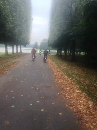 Easy Versailles Touring Private Tours