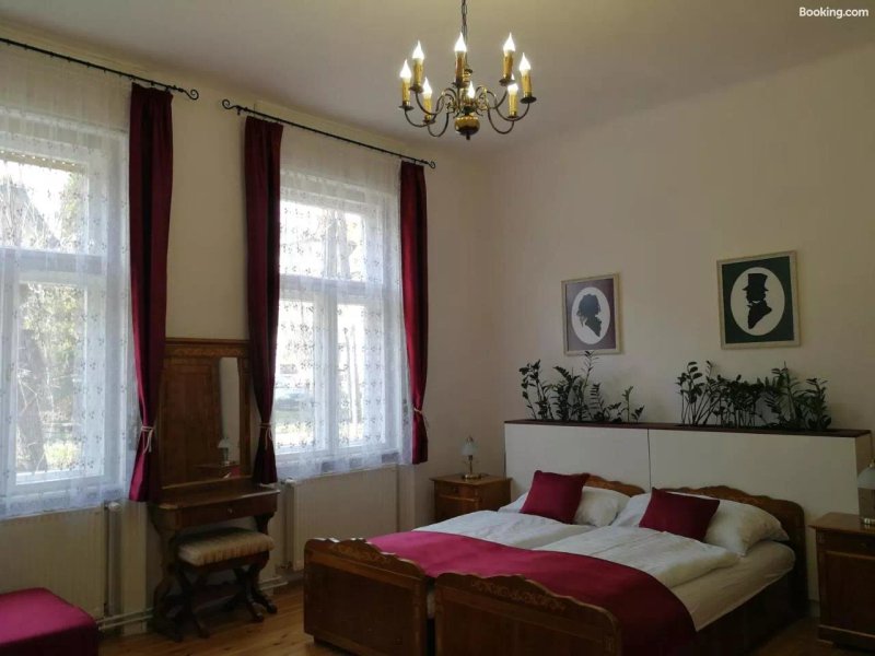 Tulipan Vendeghaz