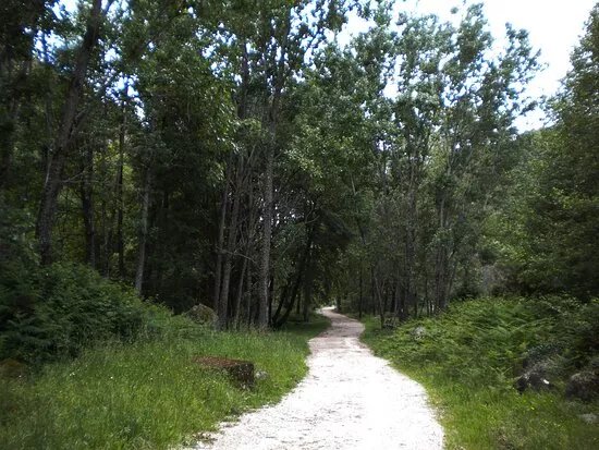 Paseo De La Luz Candeleda