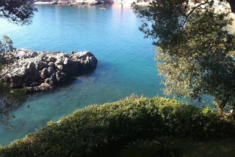 Luxury villa in a context of superb beauty, directly on the sea. Private beach.